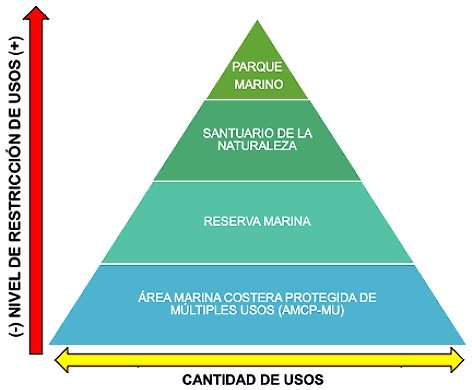 categorias_amp.png