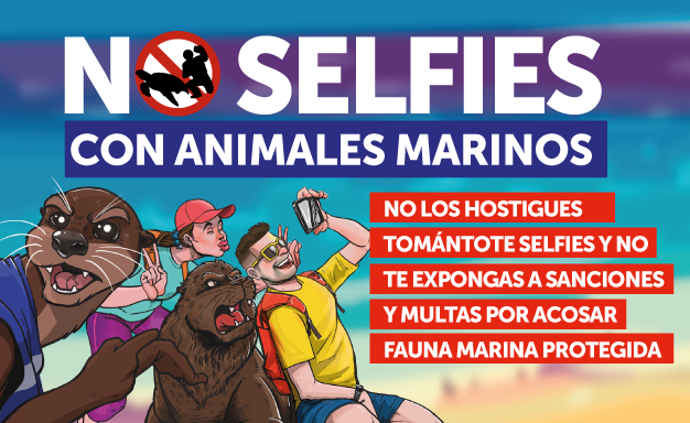 No más selfies