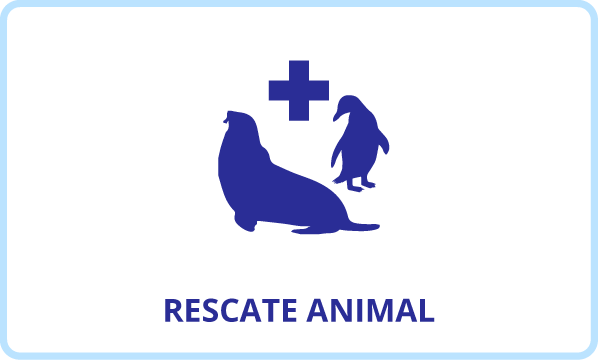 Rescate Animal