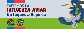 Influenza Aviar