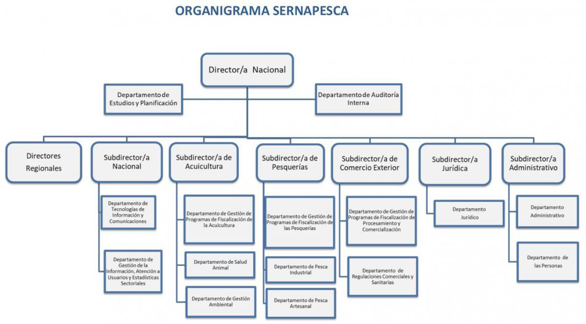 organigrama_20210125.jpg